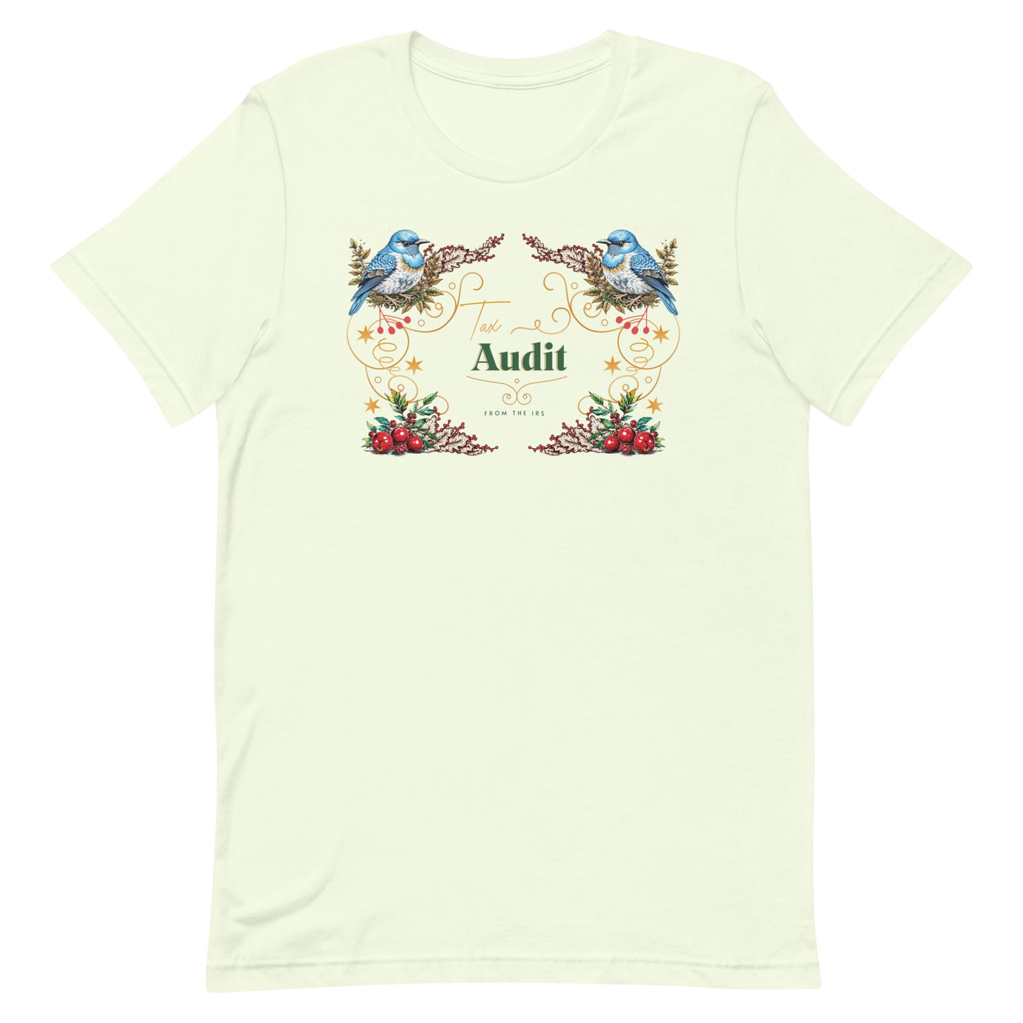 Tax Audit