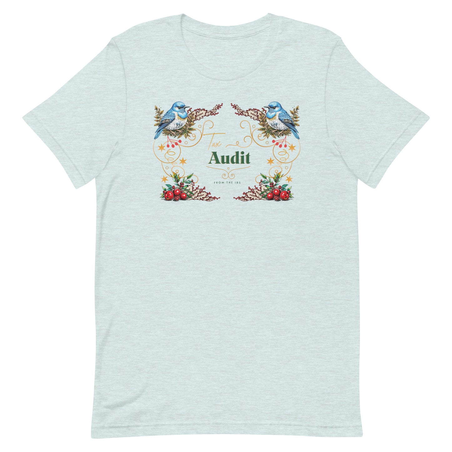 Tax Audit